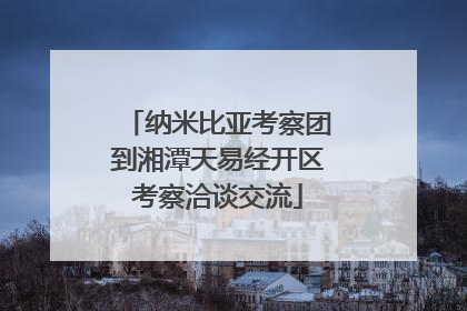 纳米比亚考察团到湘潭天易经开区考察洽谈交流